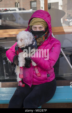 Donna con il suo piccolo cane seduto fuori da un bar su di un inverno molto freddo giorno di Brooklyn, New York. Foto Stock