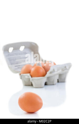 Immagine ravvicinata di un uovo riciclabile cartone con 5 uova all'interno e un uovo accanto ad essa su uno sfondo bianco Ecologico cibo sano da fattorie bio. Foto Stock