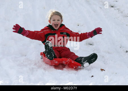 Cinque anni di Dani Paterson in slittino sulla neve in Selkirk come polizia stanno invitando gli automobilisti a guidare con estrema cautela" in mezzo alle condizioni invernali in Scozia. Foto Stock