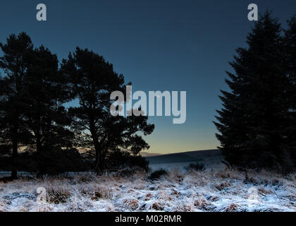 La prima luce del mattino dopo una fredda notte ha rivelato un disco frost coperta aveva coperto il paesaggio e il fogliame Foto Stock