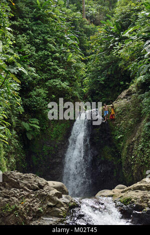 Sette sorelle, Parco nazionale Grand Etang, Grenada, dei Caraibi Foto Stock