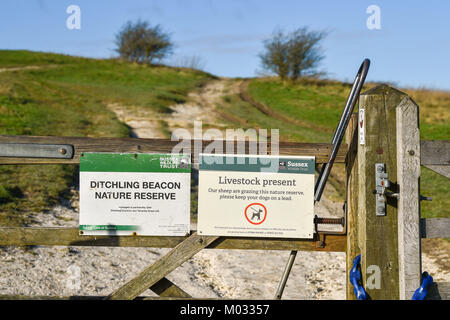 Brighton Regno Unito 18 Gennaio 2018 - Ditchling Beacon Riserva Naturale sulla South Downs modo appena a nord di Brighton fotografia scattata da Simon Dack Foto Stock