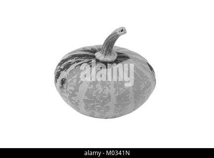 Piccolo disco a forma di zucca ornamentale con marcature in grassetto, isolata su uno sfondo bianco - elaborazione monocromatica Foto Stock