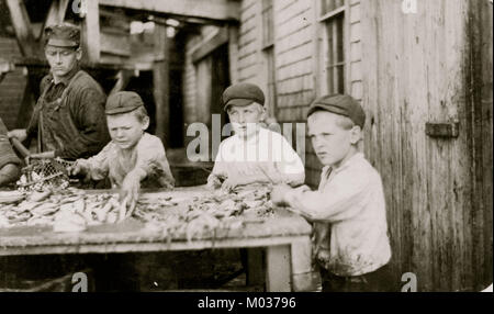Tre giovani taglierine che lavorano in Seacoast Canning Co. Foto Stock