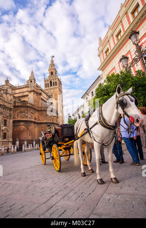 Carrozza a cavallo di Siviglia, la Giralda e Cattedrale di sfondo, Andalusia, Spagna Foto Stock