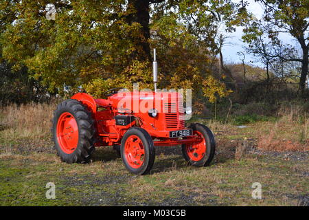 1957 David Brown 25D trattore Foto Stock