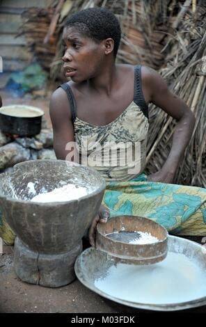 DZANGA-SANHA riserva forestale, CENTRAL-REPUBBLICA CENTRAFRICANA (CAR), Africa, 2008 2 Novembre: giungla di auto. L'Africa. La giungla di Central-African Repubblica. Foto Stock