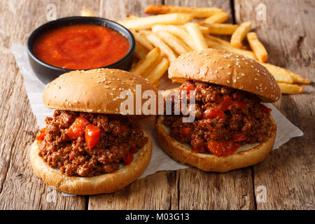 Panini fatti in casa con carne di Joe sciatta e patatine fritte, ketchup closeup sul tavolo orizzontale. Foto Stock