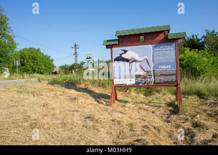 Scheda informazioni circa cicogne bianche, in 'europeo Stork village", Tara, Vojvodina, Serbia, Giugno Foto Stock