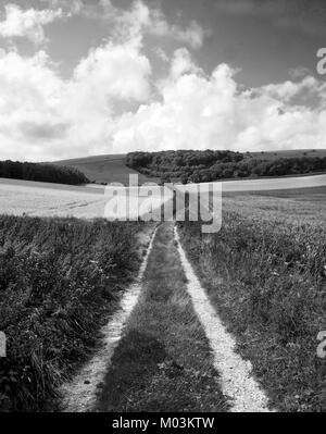 South Downs, East Sussex, Regno Unito, una pista rurale con erba nel mezzo e ghiaia le tracce delle ruote su ogni lato, andando da grandi in primo piano per la d Foto Stock