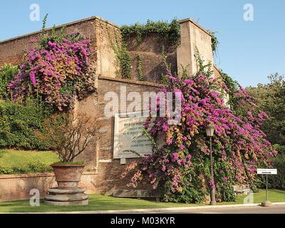 I cactus e le piante su una parete in Giardini Vaticani a Roma Foto Stock