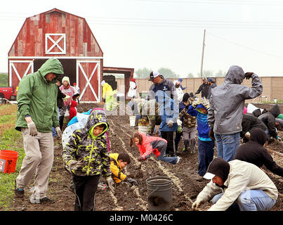 Davenport, Iowa, USA. 30 apr, 2016. Impianto di volontari ghiande presso il Living Terre acque & nursery, parte dei milioni di alberi, progetto in Davenport Iowa Sabato 30 Aprile, 2016. Credito: Jeff Cook/Quad-City volte/ZUMA filo/Alamy Live News Foto Stock