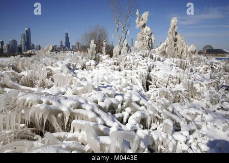 Chicago, Stati Uniti d'America. 18 gennaio, 2018. Downtown Chicago è visto attraverso il ghiaccio alberi coperti in isola a nord di Chicago, negli Stati Uniti il 7 gennaio 18, 2018. In condizioni di freddo intenso hits U.S. La Midwest questa settimana con neve e neve doccia e molti alberi lungo il lago Michigan nel centro cittadino di Chicago sono coperti con ghiaccioli. Credito: Wang Ping/Xinhua/Alamy Live News Foto Stock