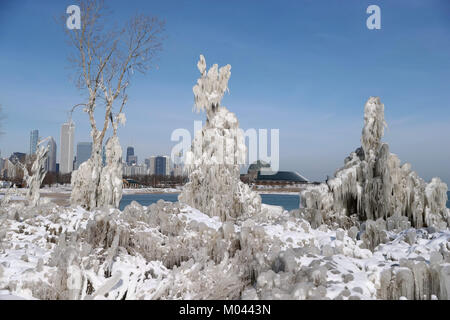 Chicago, Stati Uniti d'America. 18 gennaio, 2018. Downtown Chicago è visto attraverso il ghiaccio alberi coperti in isola a nord di Chicago, negli Stati Uniti il 7 gennaio 18, 2018. In condizioni di freddo intenso hits U.S. La Midwest questa settimana con neve e neve doccia e molti alberi lungo il lago Michigan nel centro cittadino di Chicago sono coperti con ghiaccioli. Credito: Wang Ping/Xinhua/Alamy Live News Foto Stock