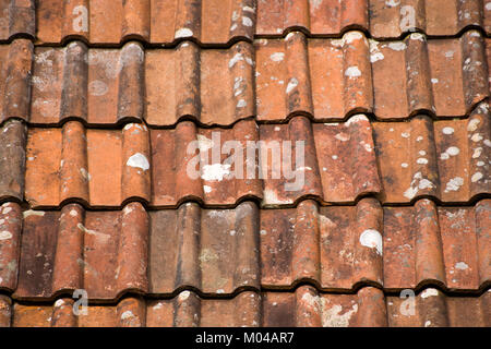 Pantile modello tetto full frame vicino sfondo fino Foto Stock