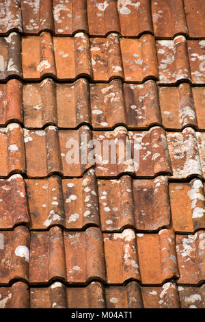 Pantile modello tetto full frame vicino sfondo fino Foto Stock