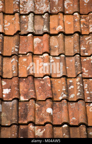 Pantile modello tetto full frame vicino sfondo fino Foto Stock