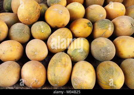 Freschi meloni gialli visualizzato in un greengrocery Foto Stock