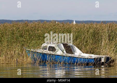 Una barca di giunchi - Masurian Lake District, Polonia Foto Stock