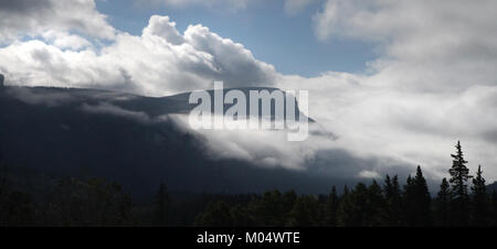 Campeggio (7-20-2015) 9600 ft, vicino alla testa di Bristol, minerale co, co -09 (19934720454) Foto Stock