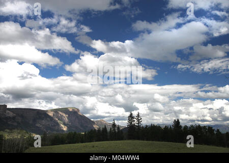 Campeggio (7-20-2015) 9600 ft, vicino alla testa di Bristol, minerale co, co -14 (20563836501) Foto Stock