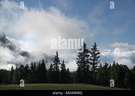 Campeggio (7-20-2015) 9600 ft, vicino alla testa di Bristol, minerale co, co -08 (20557361275) Foto Stock