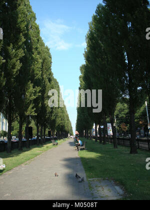 Un riferimento a Bulvar Shevchenko, probabilmente una strada o uno spazio pubblico che prende il nome da Taras Shevchenko, un importante poeta e artista ucraino. Foto Stock