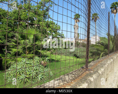 Campo Sperimentale della Stazione Sperimentale Industrie Essenze e Derivati Agrumi (SSE) - Reggio Calabria, Italia - 7 Ottobre 2009 - (10) Foto Stock