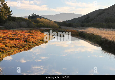 CALIFORNIA - MORRO BAY AREA E SLO County (4069818905) Foto Stock