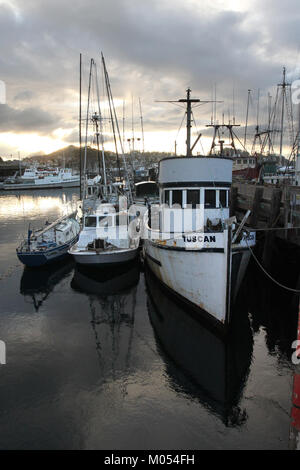 CALIFORNIA - MORRO BAY AREA E SLO County (4116284504) Foto Stock