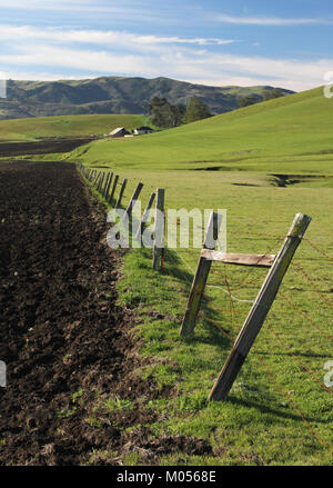 CALIFORNIA - MORRO BAY AREA E SLO County (4245589831) Foto Stock