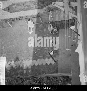 Questa immagine raffigura il "Bouw Molen aan het Kalfje", un tradizionale mulino a vento olandese. La struttura mette in risalto il classico design di un mulino a vento utilizzato nei Paesi Bassi per la fresatura del grano e il pompaggio dell'acqua. Foto Stock