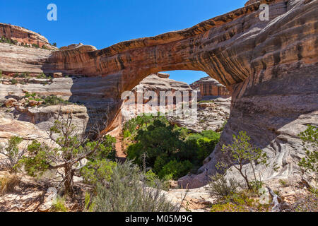 Il Sipapu Bridge in ponti naturali Monumento Nazionale in Utah. Foto Stock