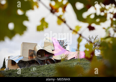 9 novembre 2017 Hotel Marqués de Riscal, Elciego, Álava, Paese Basco, Spagna. Foto di James Sturcke | sturcke.org Foto Stock