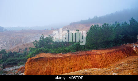 Alberi di pino sulla collina a nebbioso giorno di Dalat, Highlands Centrali, Vietnam. Foto Stock