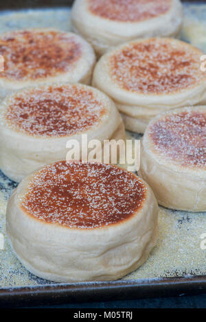 Appena sfornato muffin inglese Foto Stock