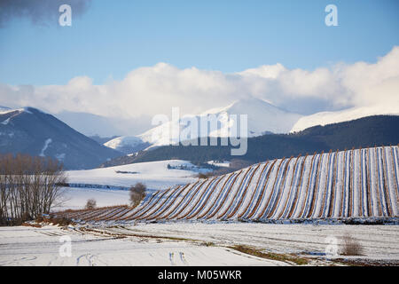 La Rioja, Spagna. 10/1/18 vigneti vicino Badarán, La Rioja, Spagna, dopo la nevicata. Il monte San Lorenzo, di La Rioja è la montagna più alta è in background. Foto Stock
