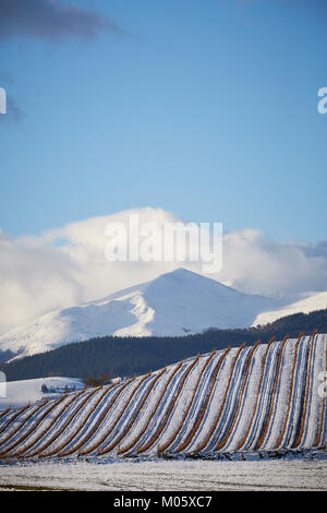 La Rioja, Spagna. 10/1/18 vigneti vicino Badarán, La Rioja, Spagna, dopo la nevicata. Il monte San Lorenzo, di La Rioja è la montagna più alta è in background. Foto Stock