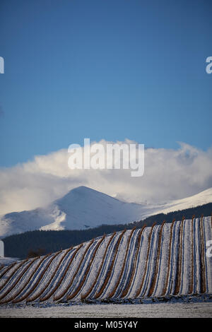 La Rioja, Spagna. 10/1/18 vigneti vicino Badarán, La Rioja, Spagna, dopo la nevicata. Il monte San Lorenzo, di La Rioja è la montagna più alta è in background. Foto Stock