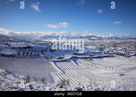 La Rioja, Spagna. 10/1/18 vigneti vicino Badarán, La Rioja, Spagna, dopo la nevicata. Il monte San Lorenzo, di La Rioja è la montagna più alta è in background. Foto Stock