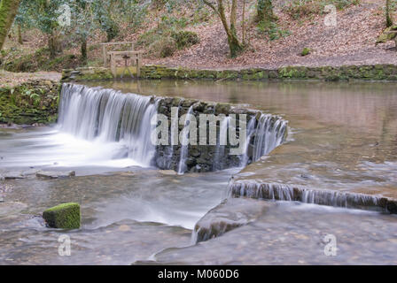 Il flusso di alimentazione del vecchio stewpond e weir a Cotehele in Cornovaglia scorre giù per il fiume Tamar Foto Stock