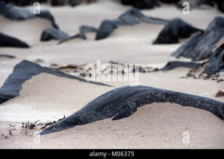Rocce sulla spiaggia sabbiosa, Clashnessie, Sutherland, Scotland, Regno Unito Foto Stock