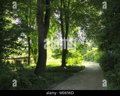 Giardino botanico di Francoforte sul meno, Germania, che mostra diverse specie di piante, architettura paesaggistica e design orticolo in un ambiente sereno. Foto Stock