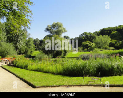 Fotografia del Botanischer Garten di Francoforte che mostra diverse specie di piante, aree paesaggistiche e spazi verdi pubblici utilizzati per la ricerca e lo studio dell'orticoltura. Foto Stock
