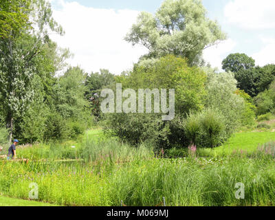 Fotografia del Botanischer Garten di Francoforte che mostra diverse specie di piante, aree giardino paesaggistiche e mostre botaniche. Foto Stock