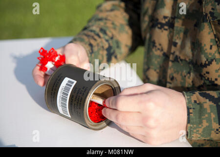 Gli ICM FUTENMA, Okinawa, Giappone - capsule di 2-chlorobenzalmalononitrile, o gas CS, vengono contate prima di Marines andare nella camera del gas gen. 11 su Marine Corps Air Station Futenma, Okinawa, in Giappone. Le capsule sono rotti su una padella calda all'interno della camera del gas, permettendo alla polvere di masterizzazione e rilasciare il gas. In caso di un attacco di gas, Marines hanno bisogno di sapere come reagire con calma e Dawn le loro maschere correttamente. (U.S. Marine Corps Foto Stock