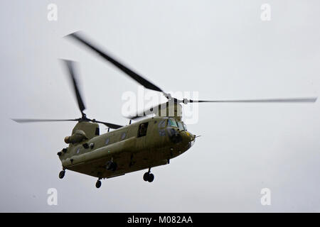 Un "gatto nero" CH-47 elicottero Chinook equipaggio dalla società B, 2a sostegno generale Aviation battaglione, 227th reggimento di aviazione, 1a combattere la Brigata Aerea, 1a divisione di cavalleria, vola in Hoehenfels Area Formazione in Germania come parte di un'area locale di volo di orientamento, gen. 16, 2018. Avieri e soldati del battaglione si stanno preparando per il loro ruolo di Allied spirito VIII, un esercizio per migliorare la NATO e partner chiave interoperabilità, costruzione di prontezza e di rafforzare le relazioni con i. (U.S. Esercito Foto Stock