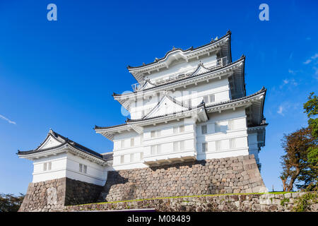 Giappone, Honshu, nella prefettura di Kanagawa, Odawara, Odawara Castello, la torre del castello Foto Stock