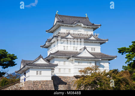 Giappone, Honshu, nella prefettura di Kanagawa, Odawara, Odawara Castello, la torre del castello Foto Stock