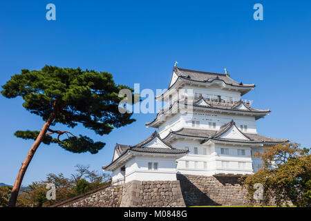 Giappone, Honshu, nella prefettura di Kanagawa, Odawara, Odawara Castello, la torre del castello Foto Stock